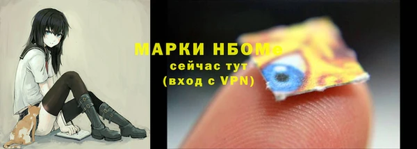 индика Одинцово