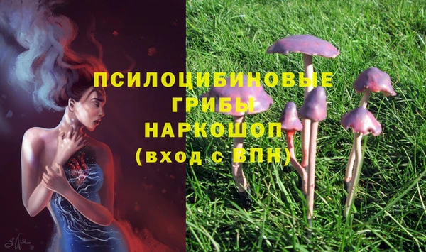 экстази Вязники