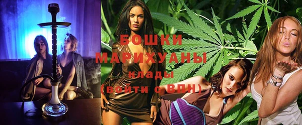 индика Одинцово
